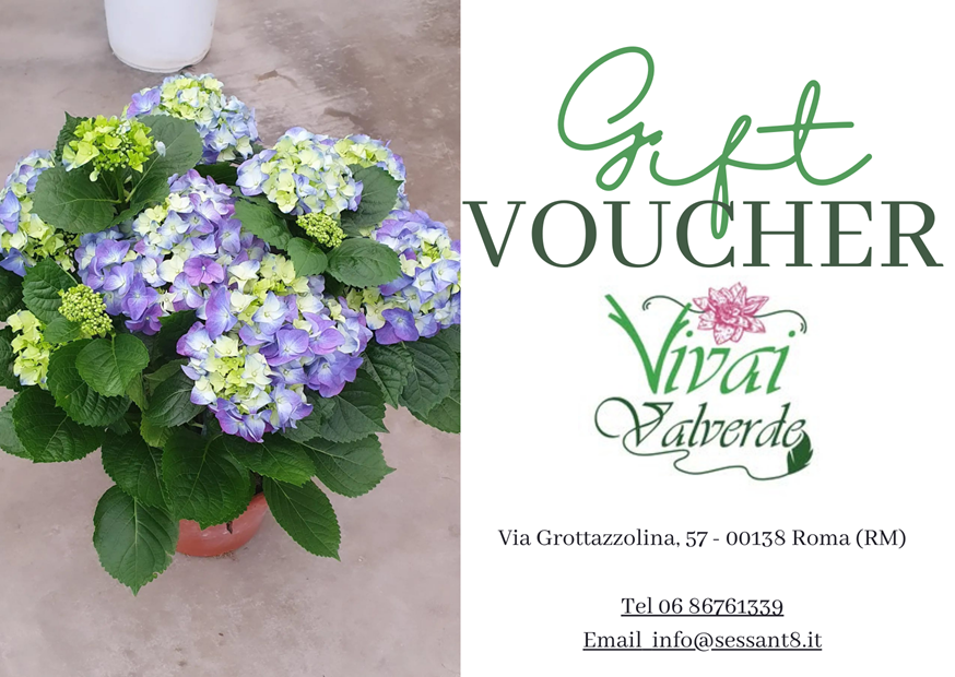 Voucher Vivai ValVerde
